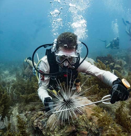 marine-biologist