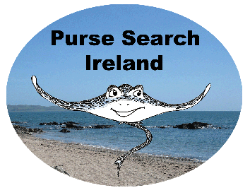 Purse-Search-logo-Marine-Dimensions